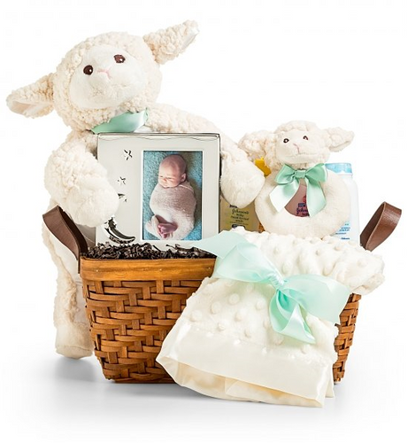 Little Lamb Baby Gift Set